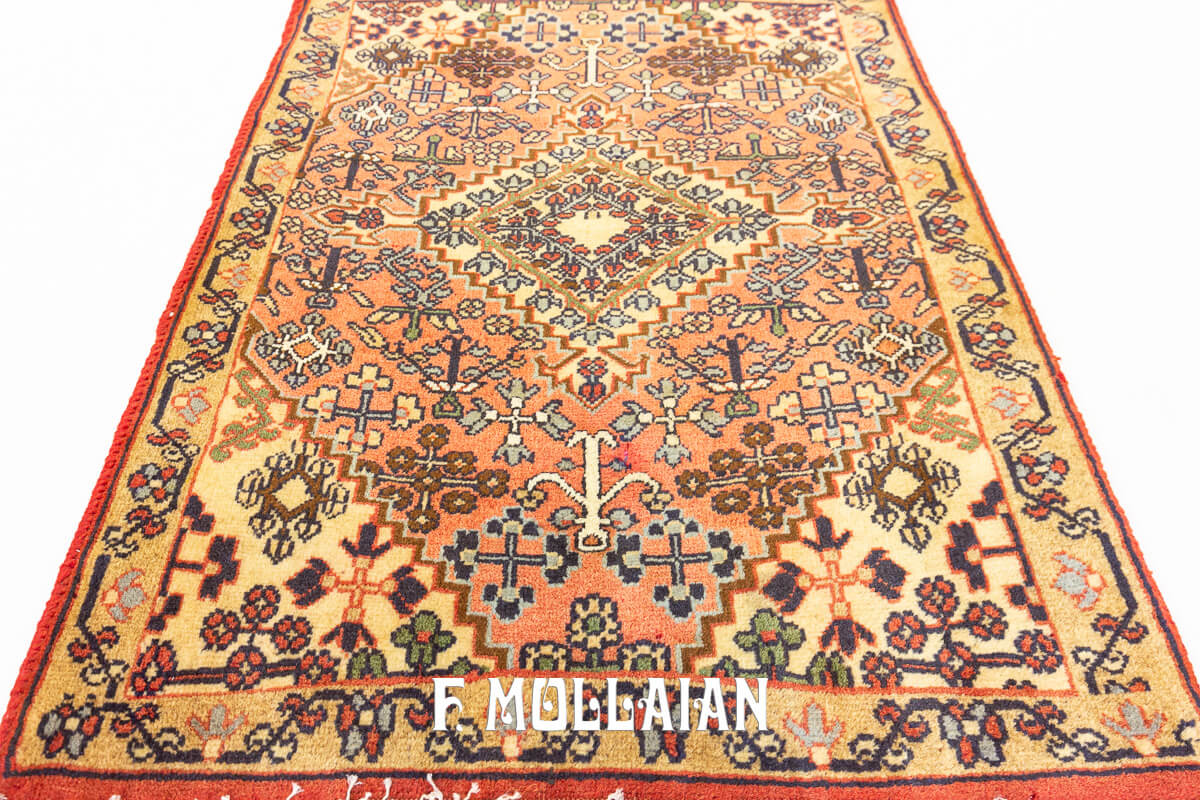 Hamedan Persian Rug Tribal Design (72x57 cm)