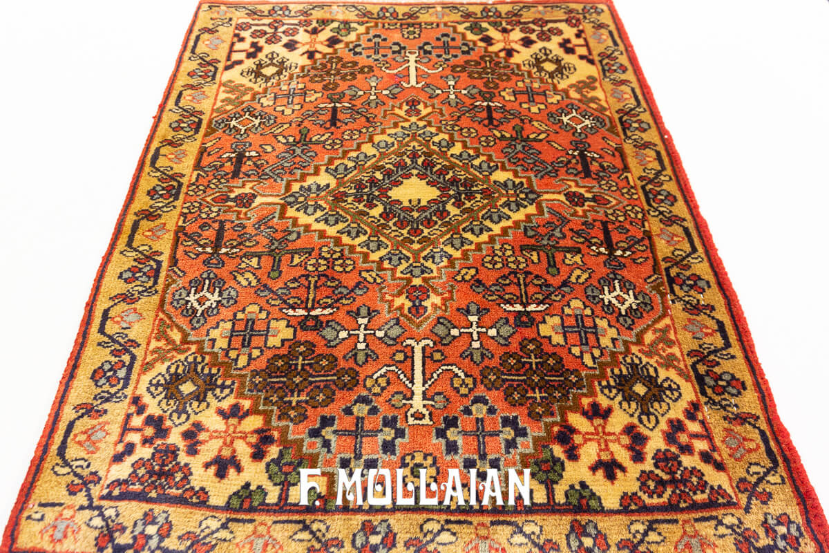 Hamedan Persian Rug Tribal Design (72x57 cm)