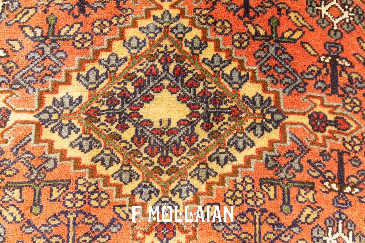 Hamedan Persian Rug Tribal Design (72x57 cm)