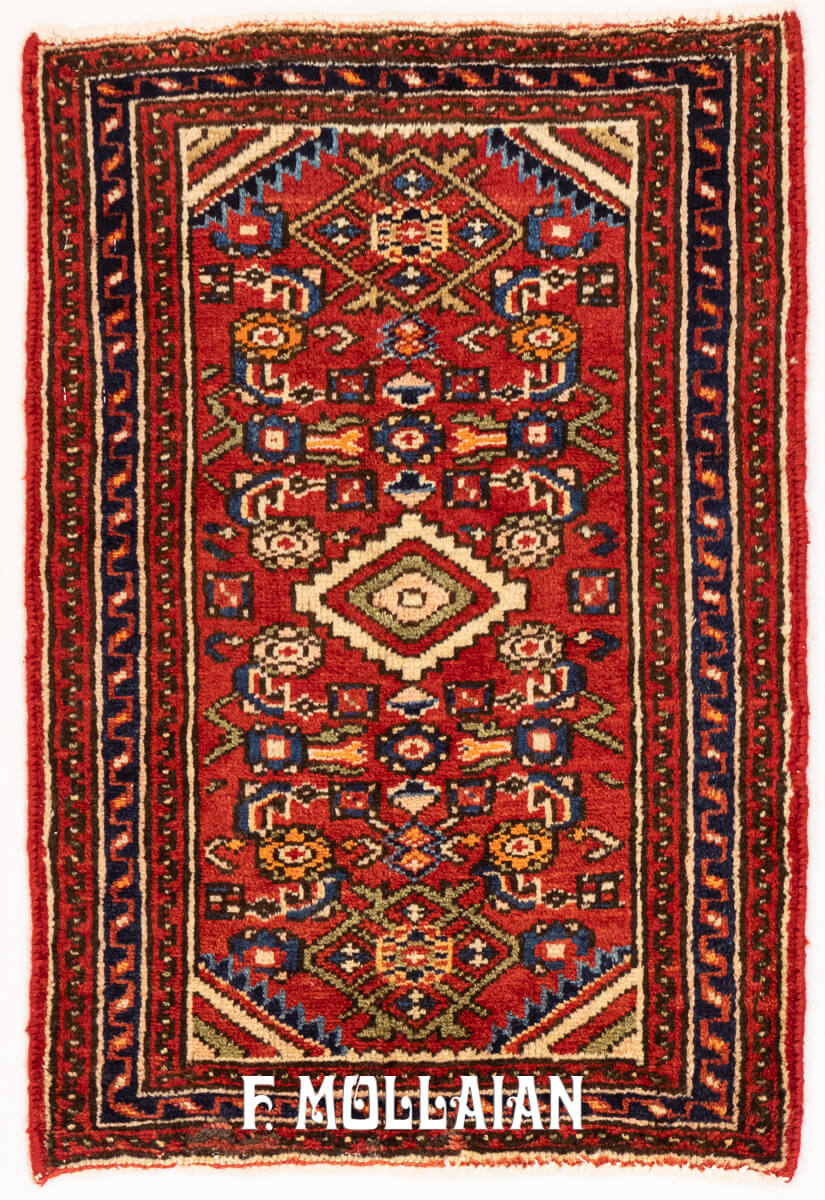 Hamadan Rug Tribal Design (80×54 cm)