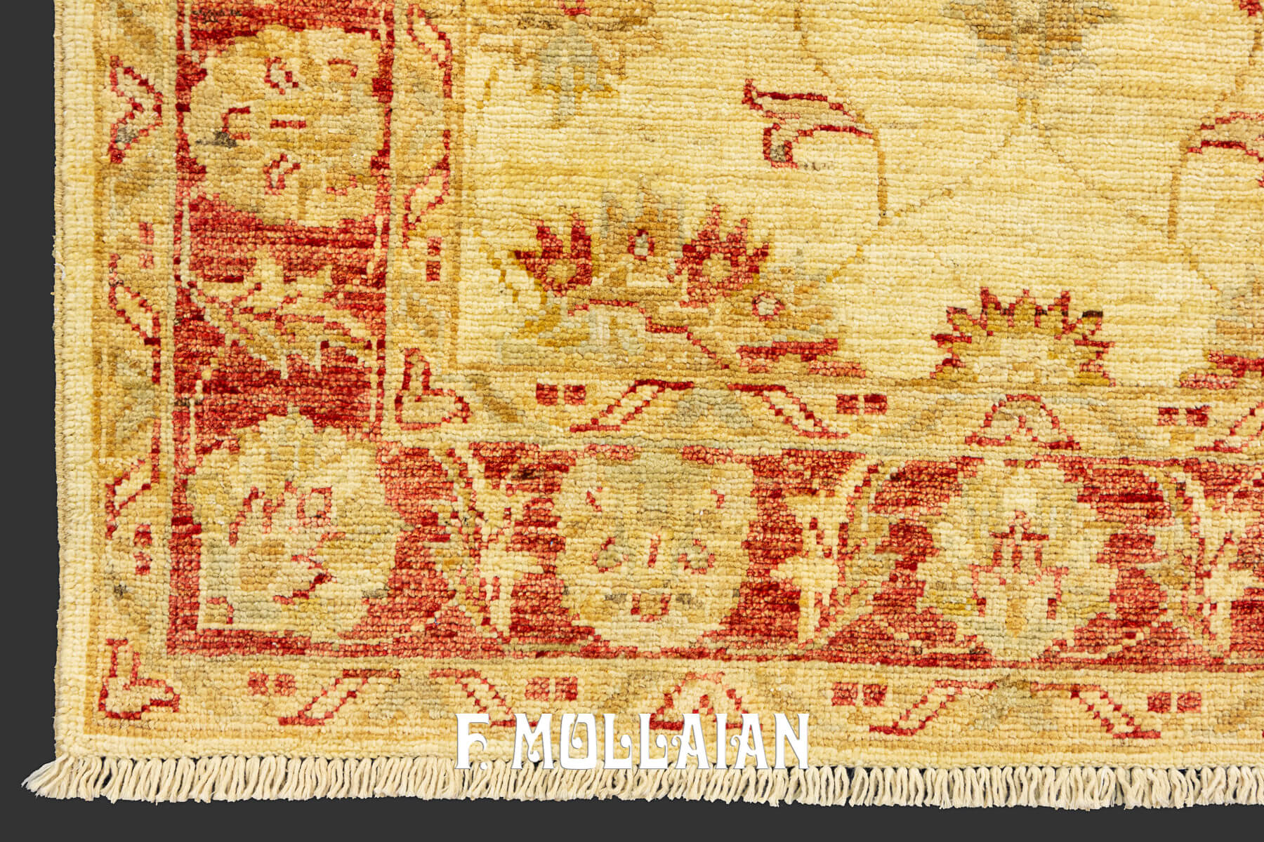 Very Long Yadan Sherkat Hand-knotted Runner Carpet (495×80 cm)